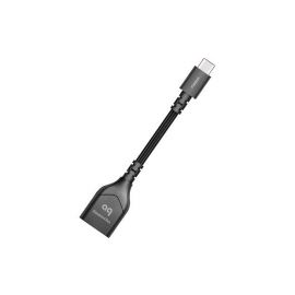 AudioQuest DragonTail (USB-C pro Android)